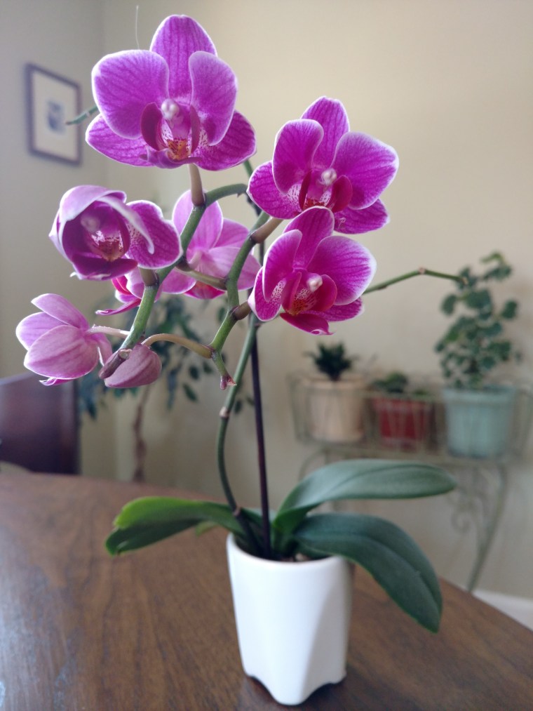 1496415464991-1541084973